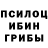 Псилоцибиновые грибы Psilocybe Hadjime Amnezia