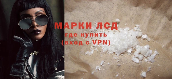 стаф Алзамай