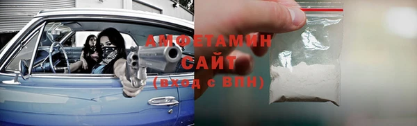 стаф Алзамай