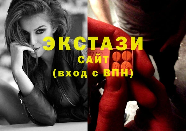 стаф Алзамай