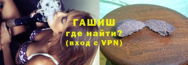 стаф Алзамай